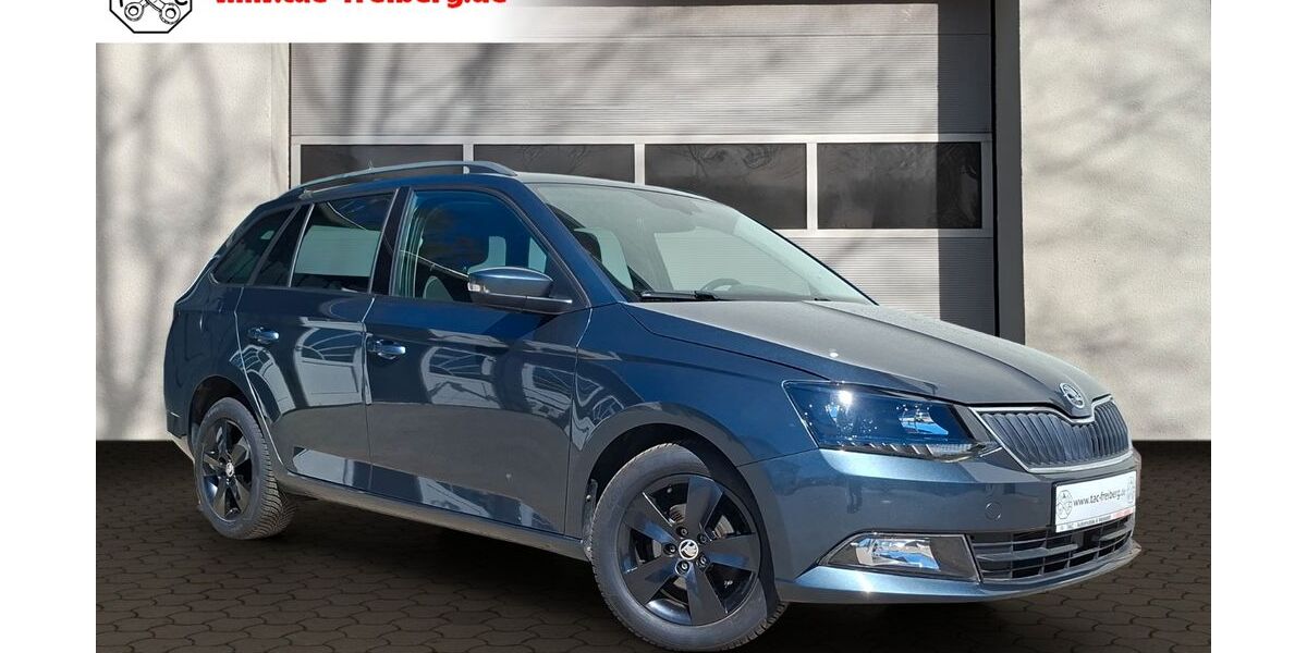 Skoda Fabia 99.890 km 9.900 &euro; Freiberg 09599