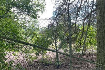Grundstück Cumlosen - 28.000&euro; | Angebot:26975192