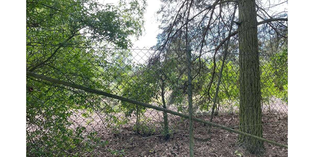 Grundstück Cumlosen - 28.000&euro; | Angebot:26975192