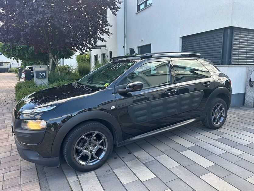 C4 Cactus