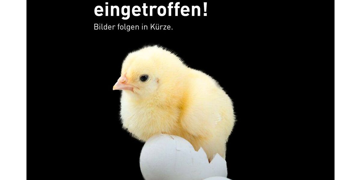 Mercedes-Benz V 300 11.394 km 69.470 &euro; Neu-Ulm 89231