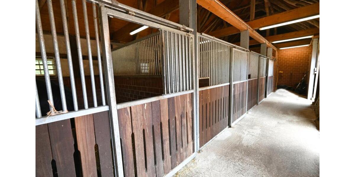 Gewerbeobjekt Badbergen - 170&euro; | Angebot:22011526