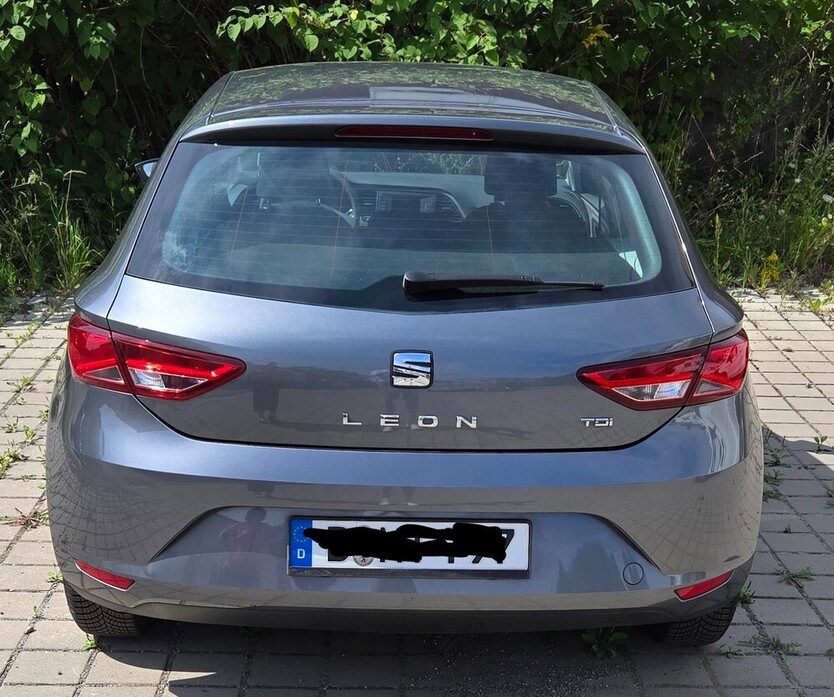 Leon