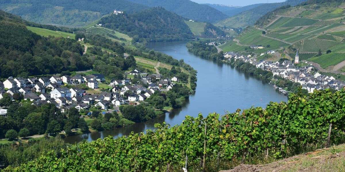 Grundstück Zell (Mosel) - 8.500&euro; | Angebot:19509251