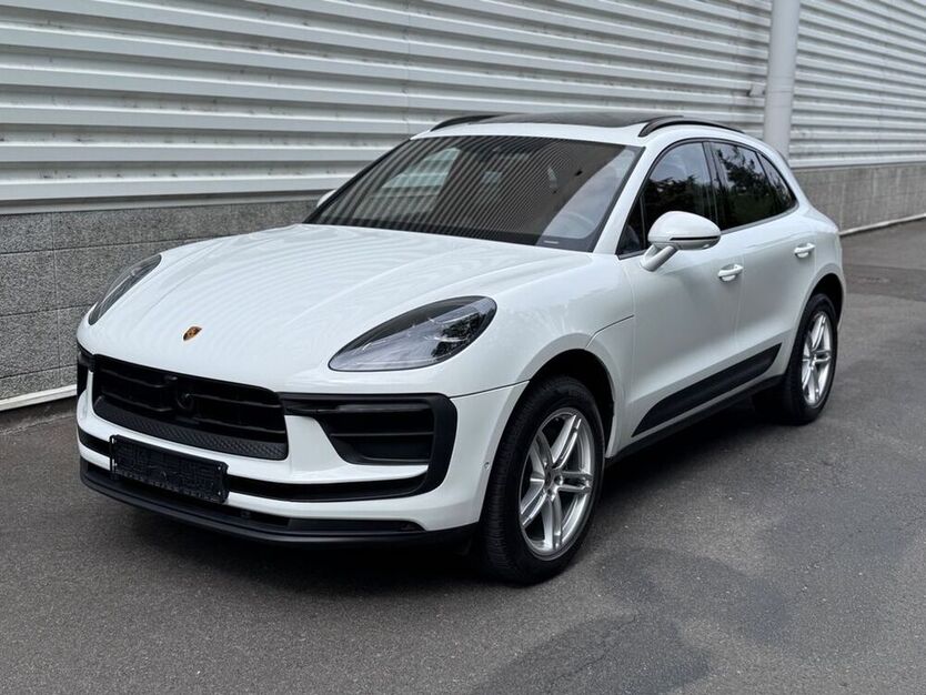 Macan