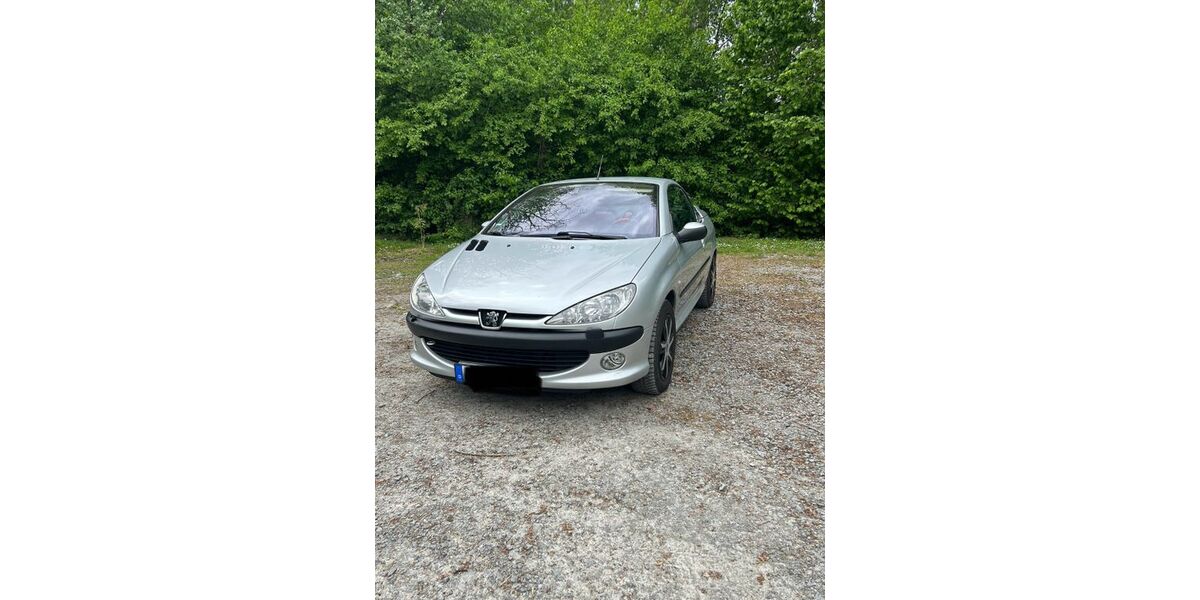 Peugeot 206 228.000 km 1.300 &euro; Hösbach 63768