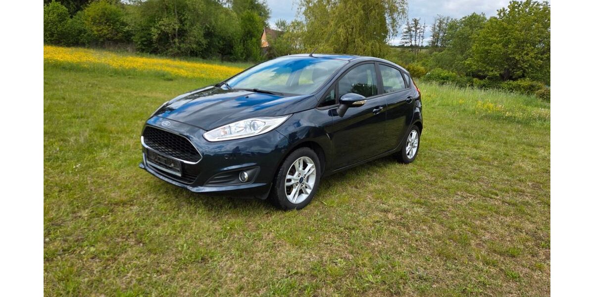 Ford Fiesta 117.850 km 5.500 &euro; Mücke 35325