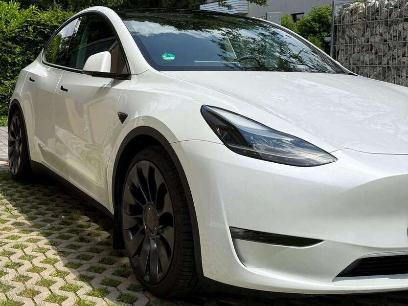 Model Y