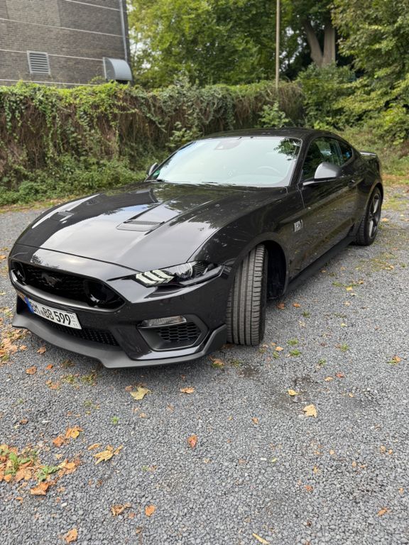 Mustang