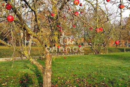 ***Baugrundstück für Einfamilienhaus - bauträgerfrei*** zimmer