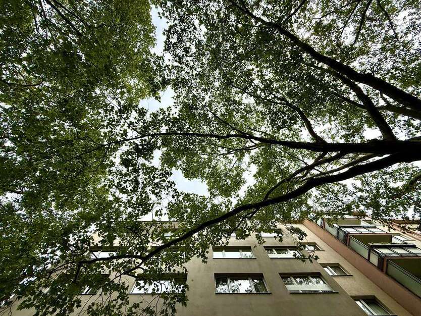 Wohnung zum Mieten in Berlin 690 € 24 m²