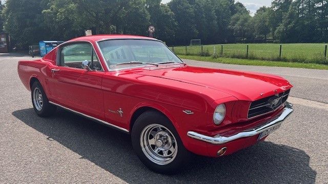 Mustang