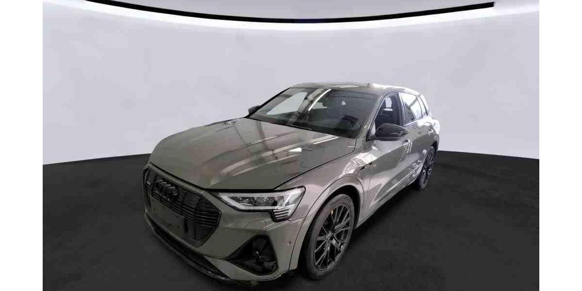 Audi e-tron 43.337 km 35.508 &euro; Hagen 58091