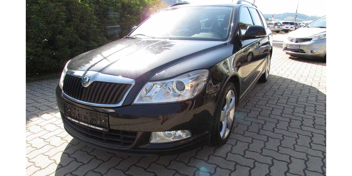 Skoda Octavia 172.250 km 1.990 &euro; Kronach OT Knellendorf 96317