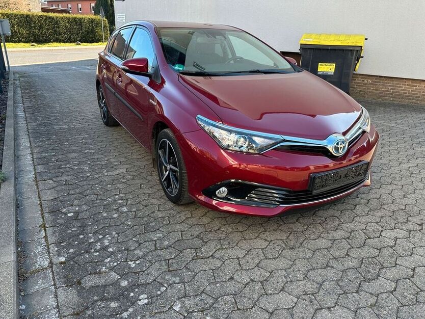 Auris
