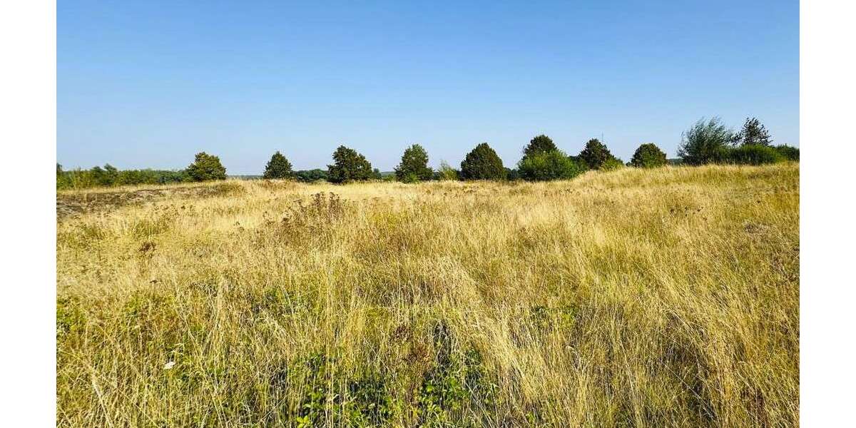 Grundstück Brüel - 98.000&euro; | Angebot:23409147