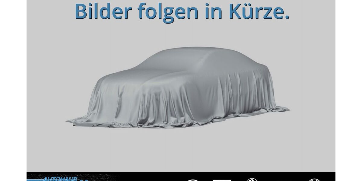 Skoda Kamiq 45.000 km 17.500 &euro; Traunreut 83301