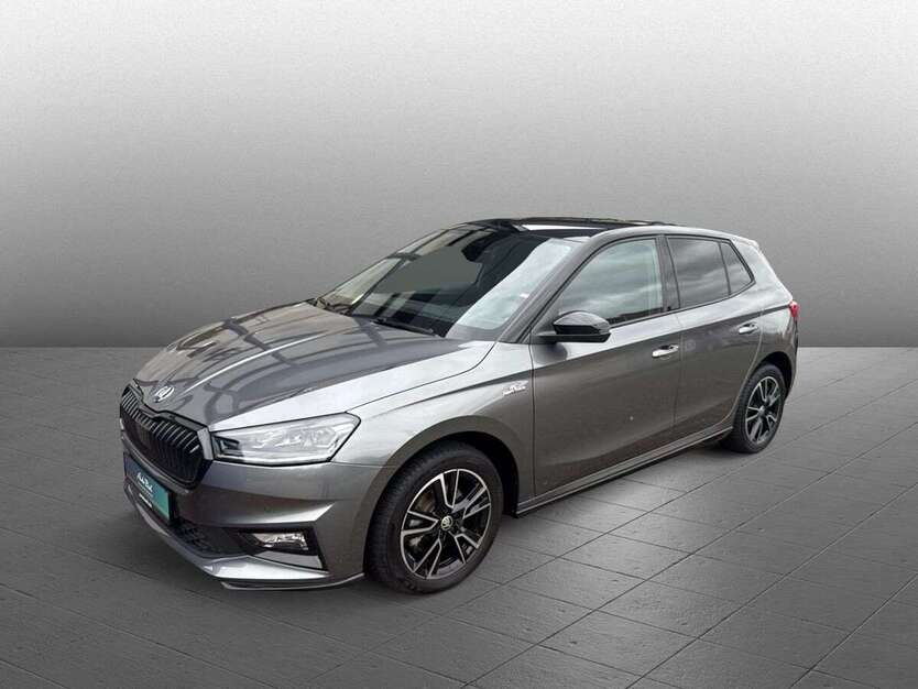 Skoda Fabia 20.445 km 24.890 € Diez 65582