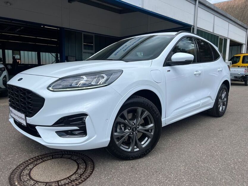 Kuga