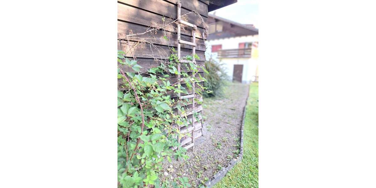 Mehrfamilienhaus, Wohnhaus Immenstadt im Allgäu Immenstadt - 1 Zimmer, 240 m&sup2;, 598.000&euro; | Angebot:25864891