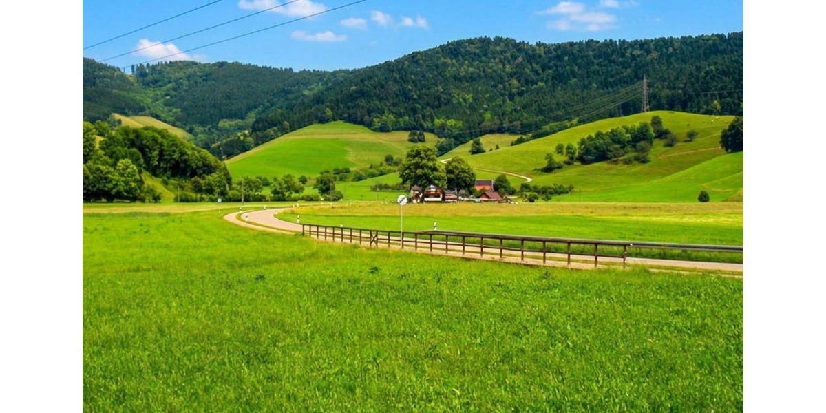 Erdgeschoßwohnung Buchenbach - 2.5 Zimmer, 110 m&sup2;, 1.250&euro; | Angebot:25554056