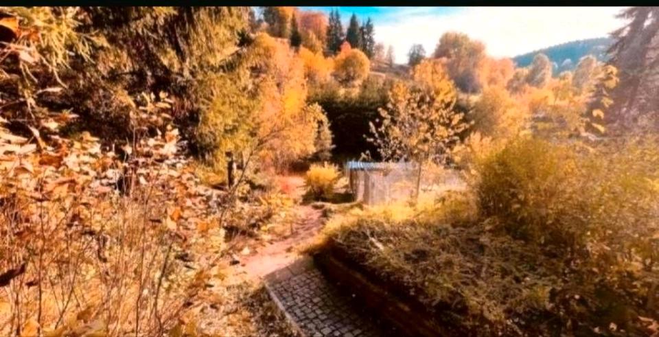 Einfamilienhaus Schleusingen - 1 Zimmer, 23 m&sup2;, 48.000&euro; | Angebot:26869204