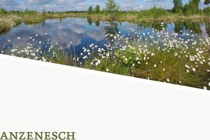 Grundstück Lohne (Oldenburg) / Hamberg Lohne - 100.000&euro; | Angebot:25667745