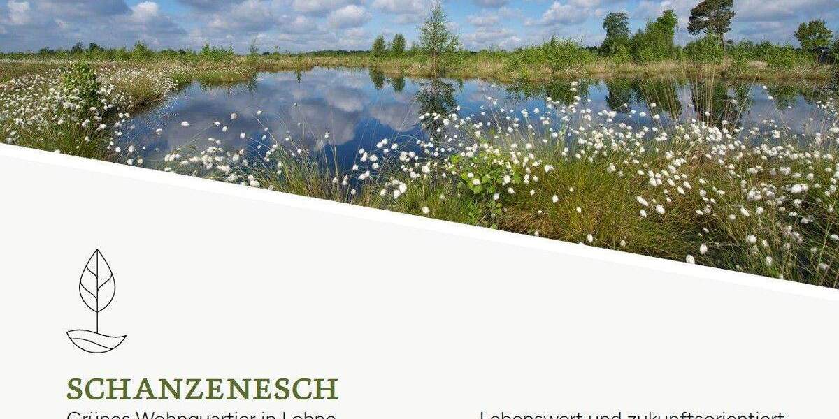 Grundstück Lohne (Oldenburg) / Hamberg Lohne - 100.000&euro; | Angebot:25667745