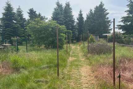 Grundstück zu verkaufen in Neu HartmannsdorfSpreenhagen 138.000 € 2342 m² zimmer