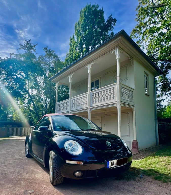 Beetle