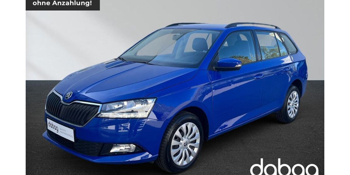 Skoda Fabia 49.810 km 14.975 &euro; Zeulenroda-Triebes 07937