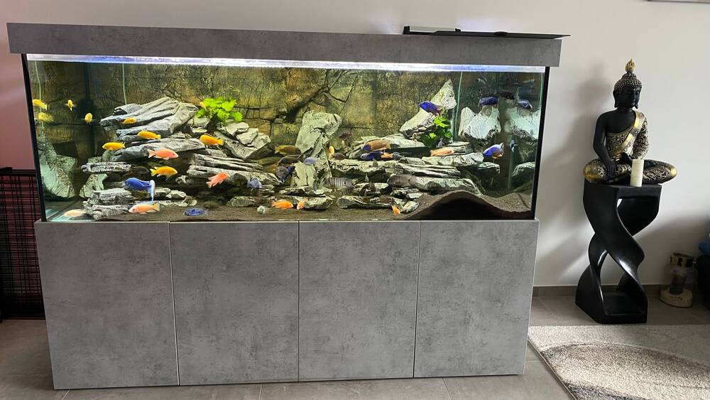 Etagenwohnung Weißenburg i. Bay. Weißenburg - 3 Zimmer, 130 m&sup2;, 655.000&euro; | Angebot:25669917