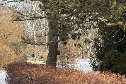 Grundstück Panketal - 160.000&euro; | Angebot:25393618