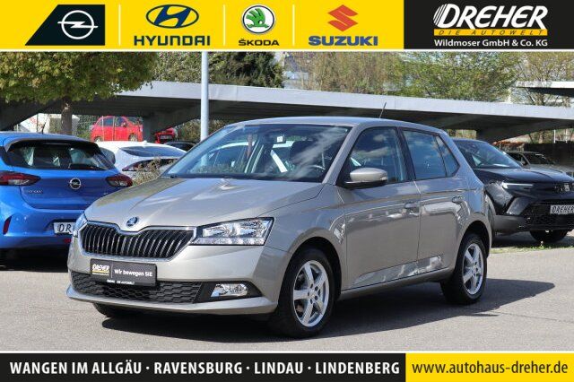 Skoda Fabia 48.905 km 13.990 &euro; Wangen 88239