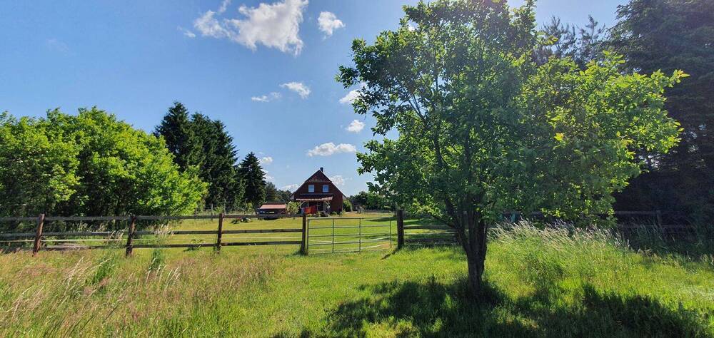 Neuwertiges EFH mit Wärmepumpe, Carport, 2 Bäder, EBK und eigenes Grünland - Einfamilienhaus Dömitz Heidhof | Angebot:26057443