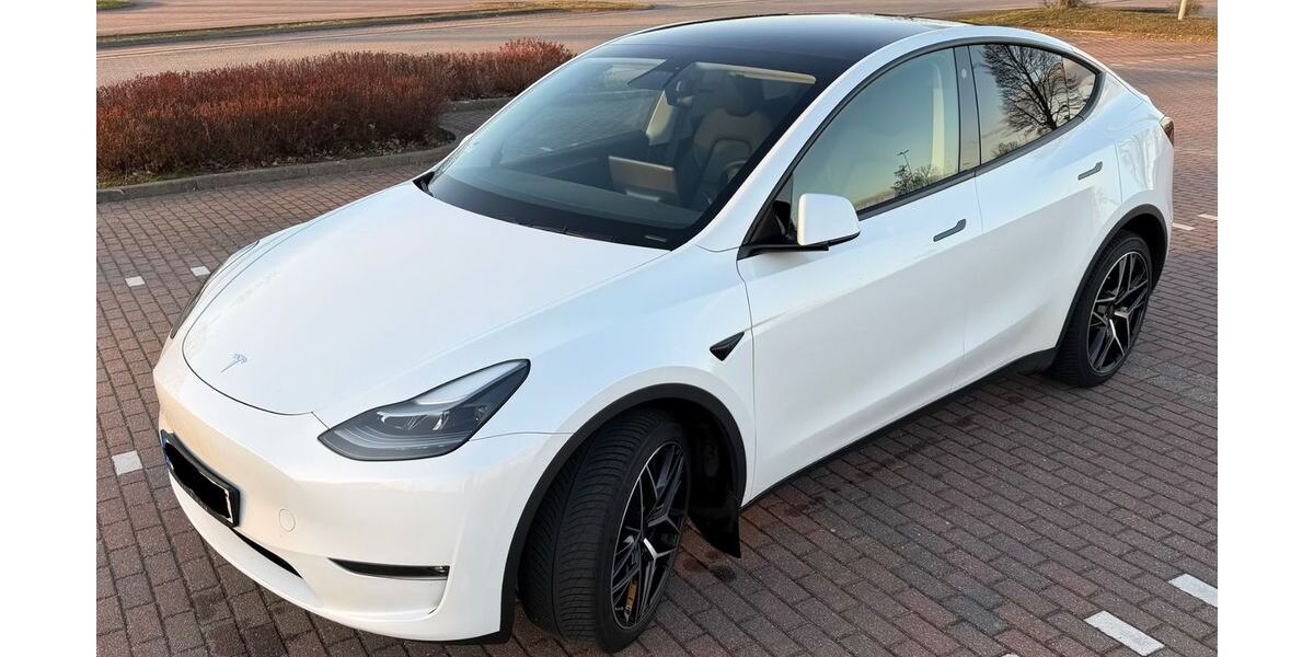 Tesla Model Y 77.000 km 32.000 &euro; Buchholz 21244