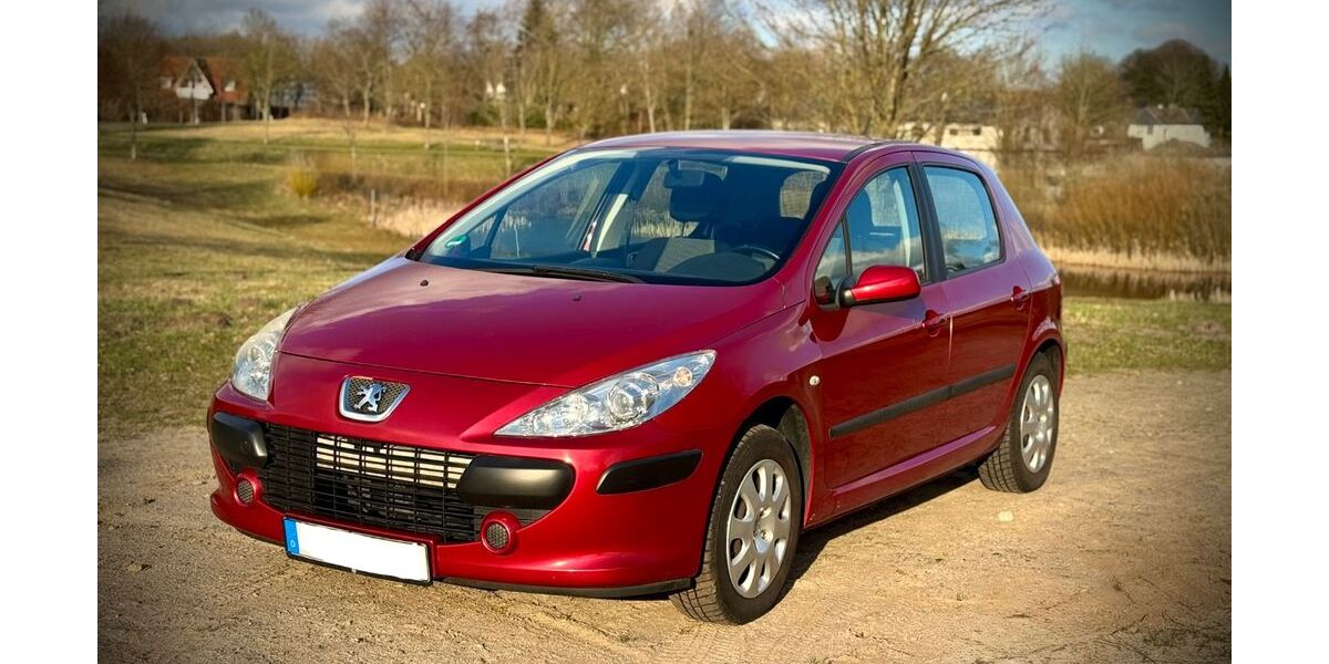 Peugeot 307 127.250 km 1.850 &euro; Harrislee 24955