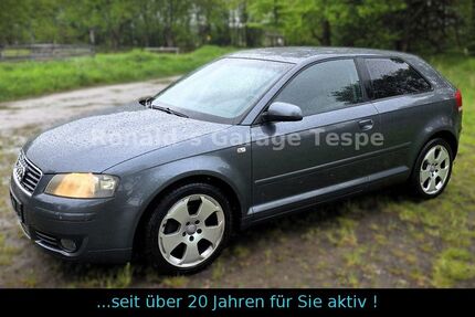Audi A3 158.800 km 3.500 &euro; Tespe 21395