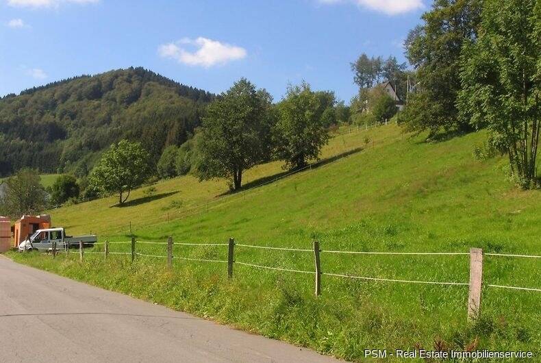 Gewerbeobjekt Winterberg Siedlinghausen - 590.000&euro; | Angebot:26155221