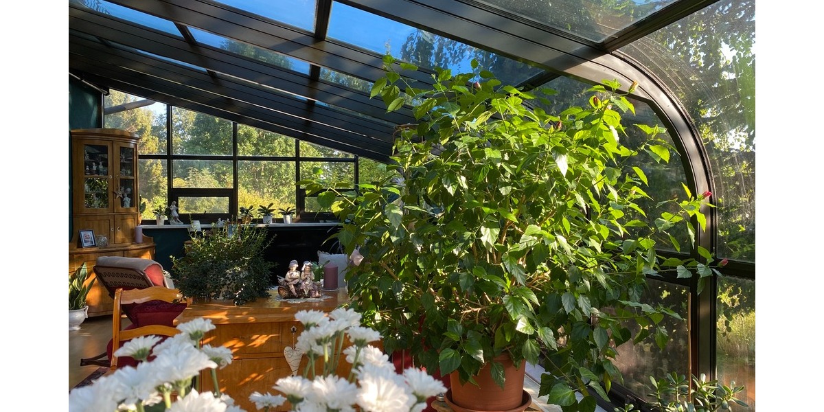 Haus mit Wintergarten, 3 Garagen, Platz für Kinder und Hobbys - Einfamilienhaus Kottmar | Angebot:26635680