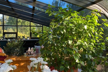 Haus mit Wintergarten, 3 Garagen, Platz für Kinder und Hobbys - Haus Kottmar | Angebot:26635680