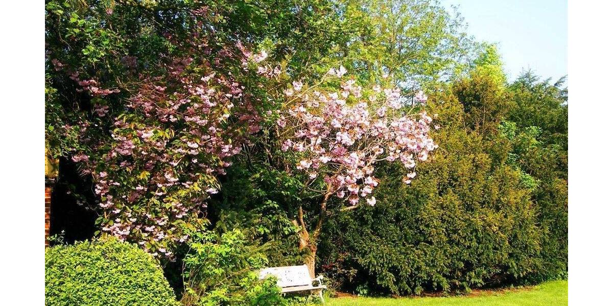 Einfamilienhaus Niebüll - 5 Zimmer, 140 m&sup2;, 199.000&euro; | Angebot:25802319