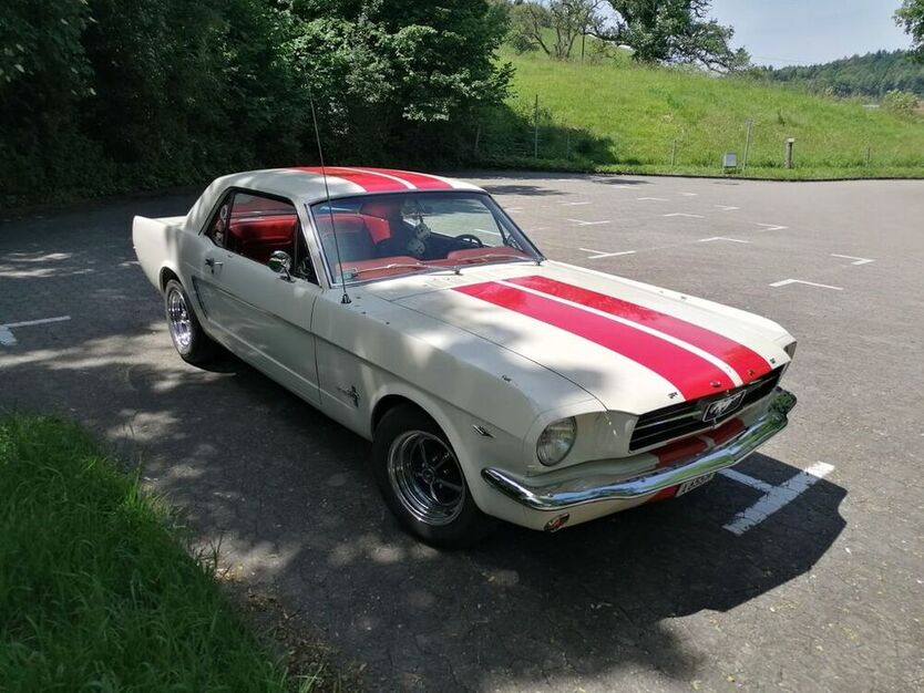 Mustang