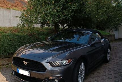 Ford Mustang 43.100 km 28.500 &euro; Siegen 57076