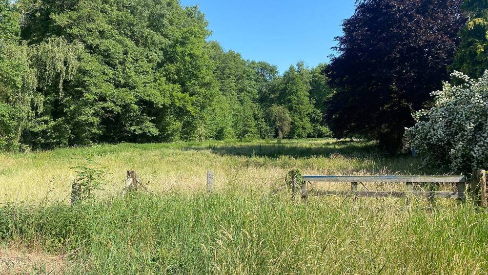 Grundstück Dannenberg Prisser - 75.000&euro; | Angebot:25660797