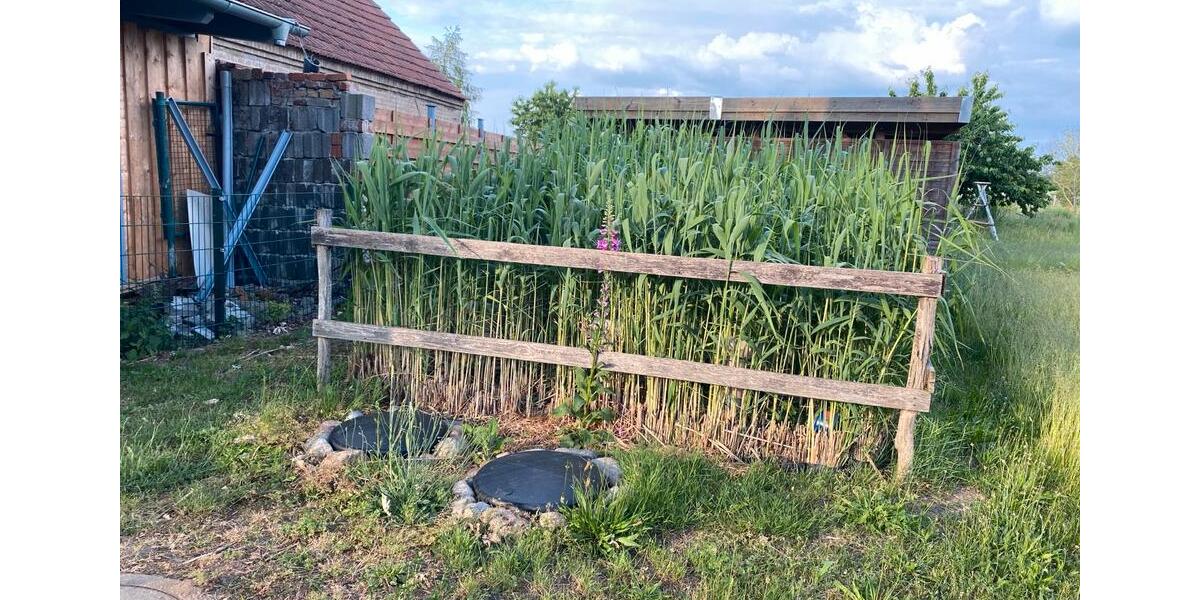 Doppelhaushälfte Wittstock/Dosse Dosse - 7 Zimmer, 100 m&sup2;, 1.000&euro; | Angebot:26532768