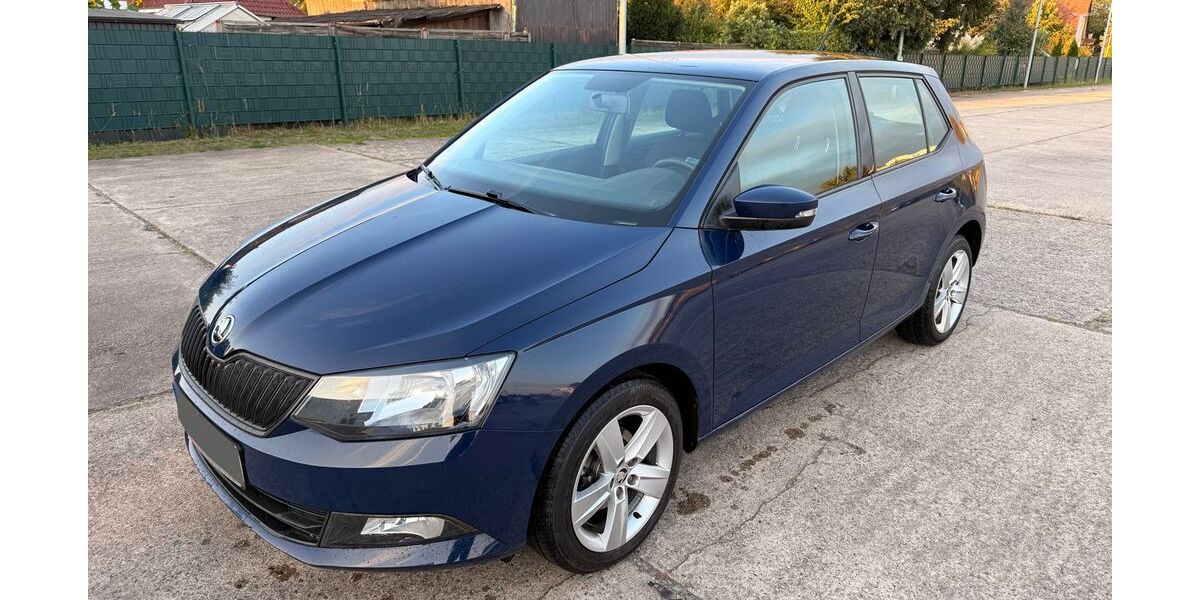 Skoda Fabia 89.000 km 9.190 &euro; Rathenow 14712