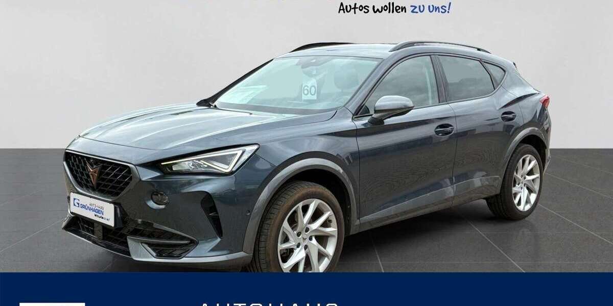 Cupra Formentor 20.990 km 24.980 &euro; Hoya 27318