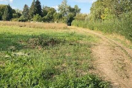 Für Investoren - Grünland in Dieburger Stadt-Nähe zimmer