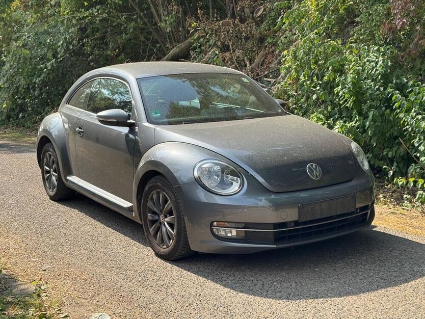 Beetle